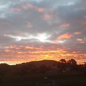 Meet your Posher, Abbey